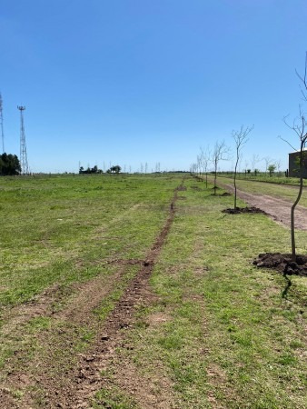 Imagen 3 de 5 de Terreno En Alvarez