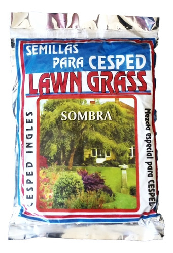 Semillas De Cesped Ingles Premium Jardín Sombra 500g. 