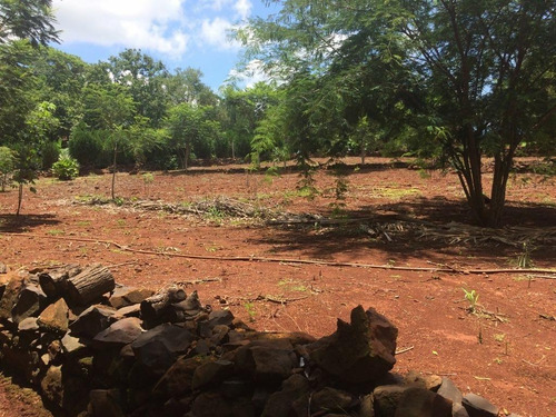 Imagem 11 de 23 de Chácara Com 4 Dormitórios À Venda, 9000 M² Por R$ 750.000,00 - Aparecidinha - Santa Terezinha De Itaipu/pr - Ch0024