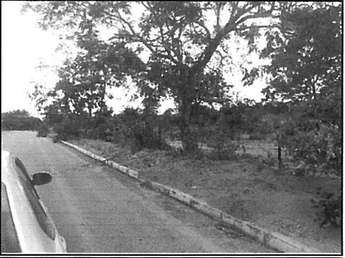 Imagem 1 de 12 de Loteamento Bairro Santa Luzia - Oportunidade Única Em Baldim - Mg | Tipo: Terreno | Negociação: Venda Direta Online | Situação: Imóvel Desocupado - Cx10005699mg