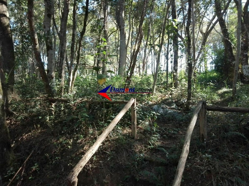 Imagem 7 de 12 de Terreno Em Frente A Represa Ótima Localização Cod.587