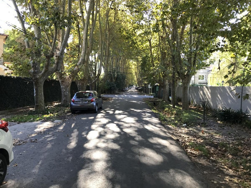 Imagen 11 de 11 de Muy Buen Lote Arbolado, En Zona Residencial De Las Lomas De San Isidro.