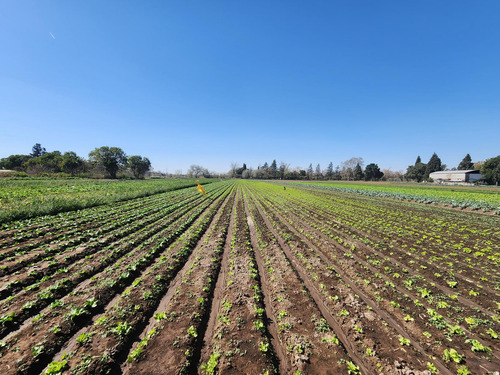 Campo En Villa Posse