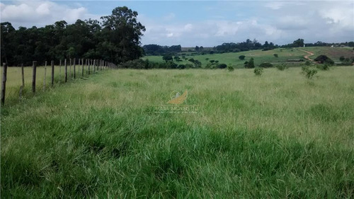 Imagem 18 de 22 de Sítio Rural À Venda, 20 Alqueires, Pinheirinho, Itu. (atrás Terras Ii) - Si0002