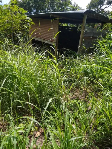 Venta Finca La Mesa-via San Javier (af-4857).