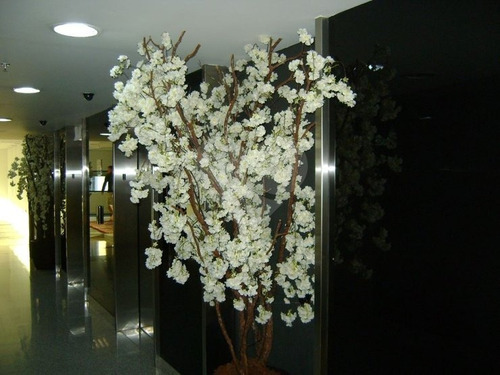 Laje Comercial - Faria Lima - 353-im252734