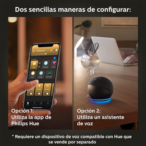 Philips Hue Bombilla Led Inteligente Wa 13w A67 E27 Eur Color De La Luz Blanco Cálido