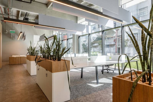 Oficinas Alquiler Saavedra