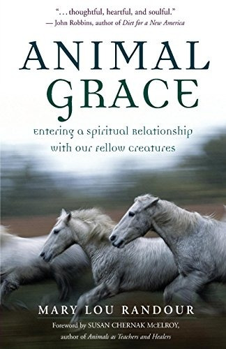 Animal Grace Entering A Spiritual Relationship With Our Fell