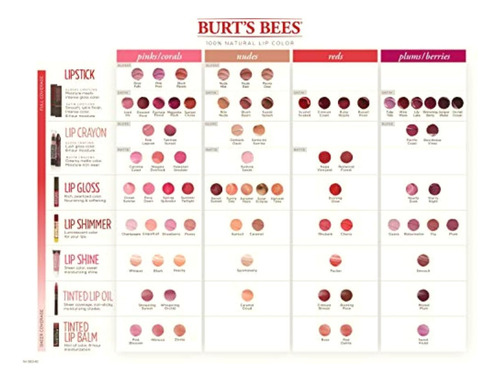 Burt's Bees 100% Natural Moisturizing Lip Gloss, Summer