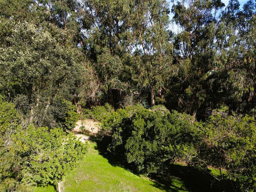 Sitio En Venta En Cachagua