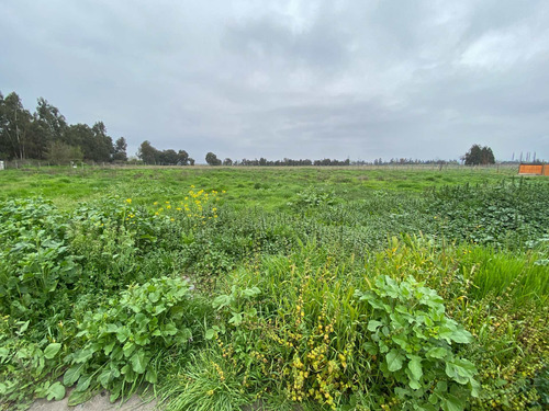 Imagen 12 de 19 de Bajó De Precio! Sitio En Parcelación De Isla De Maipo