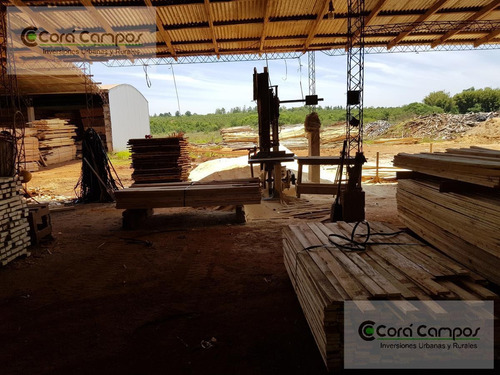 Imagen 7 de 9 de Se Vende Aserradero Funcionando. En Apósteles. Misiones