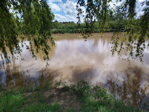 Terreno 725m2, En Barrio Don Ernesto, Ibicuy Entre Ríos