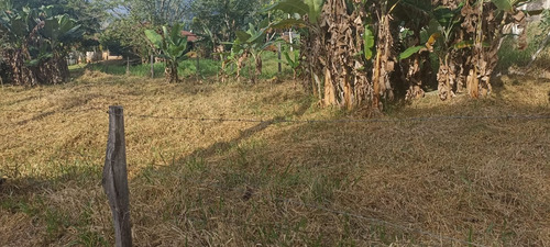 Chacara No Bairro Taquari - Sp 50 Km 23,5 Área De 540m² Sendo 13 De Largura E 42 De Comprimento.