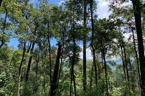 Imagen 9 de 22 de Venta De Terreno En Valle De Bravo Con Desarrollo De Rancho