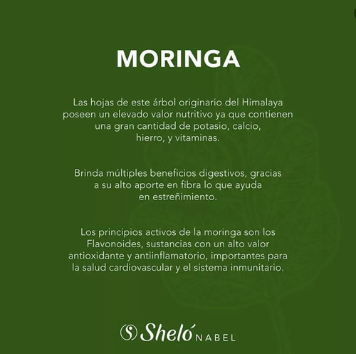 Concentrado De Moringa Shelo Nabel
