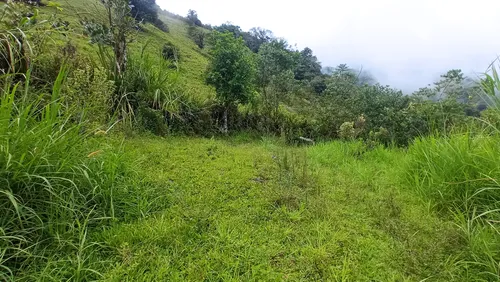 Venta Finca En La Montaña Cerca Al Lago Calima