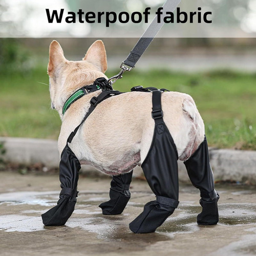 Protector De Patas Para Mascotas Con Correa Auxiliar Perros