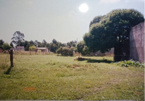 Terreno/lote  Miramar Zona Terminal De Micro