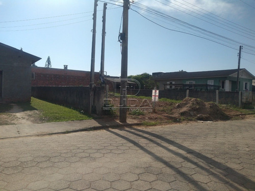 Imagem 3 de 3 de Terreno - Nossa Senhora De Fatima - Ref: 29213 - V-29211