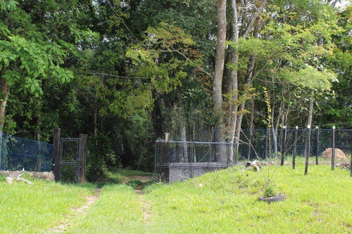 Lindo Terreno Com 7835m2 E 80% De Aproveitamento - Ch0003
