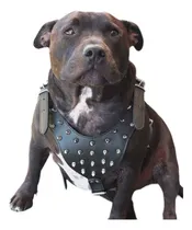 Comprar Arnés De Perro Cuero Correa Collar Set Para Pitbull Mastin 2