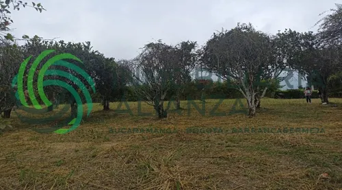 Lote En Venta En Vereda Palonegro. Cod V61527
