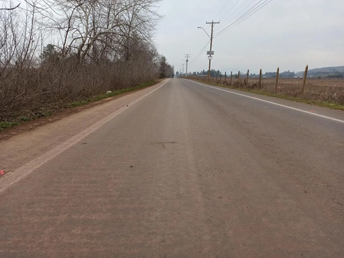 Terreno Agrícola En Venta, Campo De 21 Ha, San Clemente