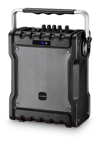 Parlante Bluetooth Karaoke 30w Tagwood Outlet