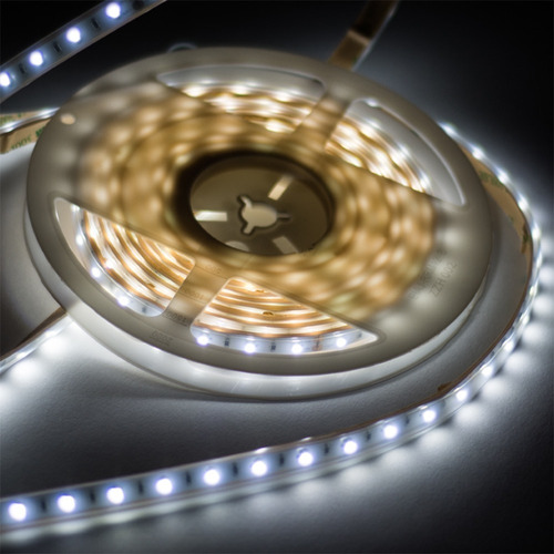Imagen 4 de 7 de Tira Led 2835 Smd 24w Tecnolite 12v Luz De Día Atenuable