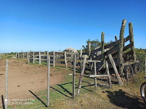 Se Venden 236 Hectáreas, Sobre Ruta 7, Entre Batlle Y Ordóñez Y Valentines. Campo De Sierra, Con Aptitud Ganadero Forestal.