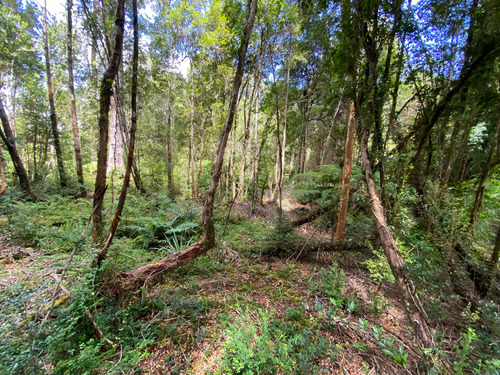 Parcela A La Venta En Sendero Tres Puentes (18254)