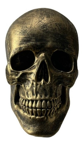 Cráneo Humano Tamaño Real Decoración Minimalista Artesanía