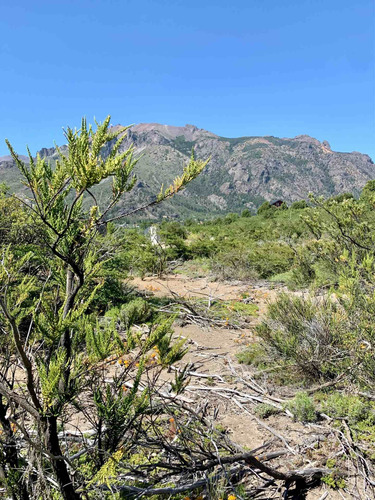 Terreno Y Lote En Venta Lomas De Cauquen Bariloche 580mts2