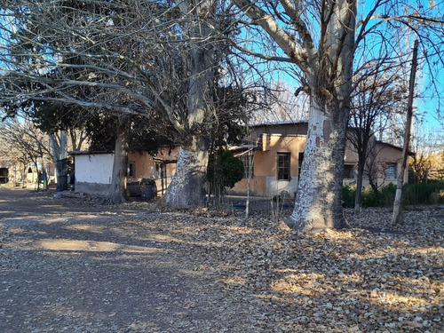 Imagen 19 de 20 de 41 Ha Ruta 15 (zona Bodegas)