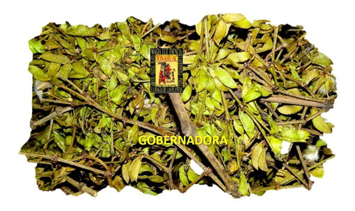 Gobernadora 250g Larrea Tridentata Planta Seca Deshidratada