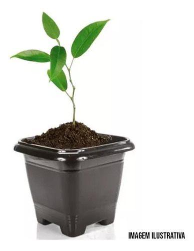 Vaso Preto 9,5 Litros Resistente Mudas Planta Flor Horta