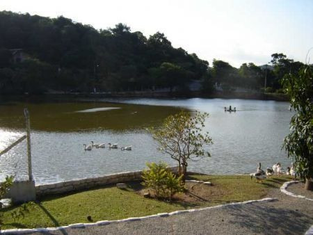 Venda Residential / Land Lot Serra Da Cantareira Mairiporã - 1771