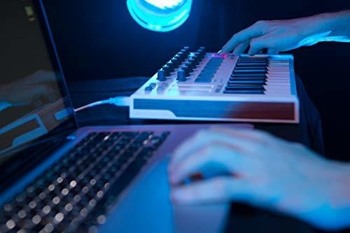 Arturia Minilab Mkll Controlador Para 25 Teclas