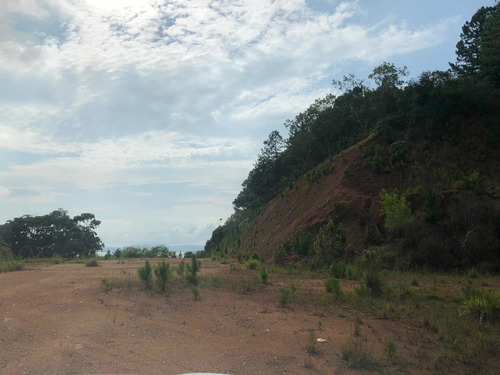 Imagem 4 de 14 de Vendo Terreno Com 10.200m2 Na Br-101