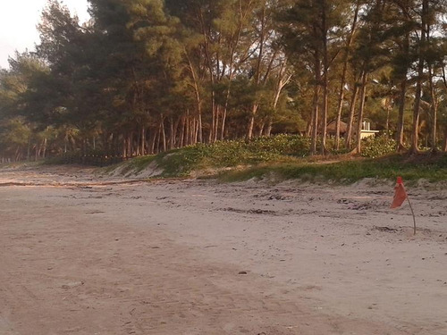 Venta De Terreno En La Playa Frente Al Mar Tuxpan Veracruz Con Palapa