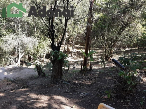 Imagem 8 de 13 de Chácara Próximo A Campo Limpo Pta, Figueira Branca - 1017
