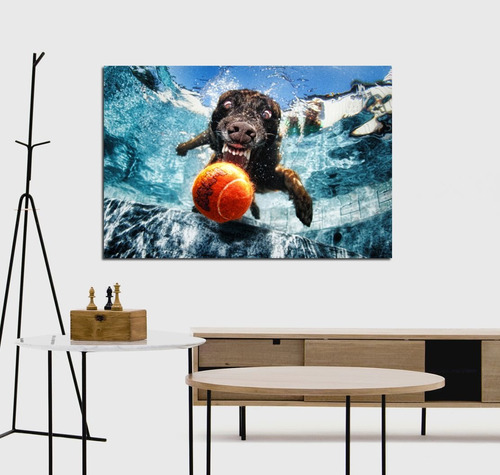 Cuadro 50x75cm Perro Bajo El Agua Dog Pileta Pet Shop Vete