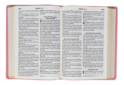 Biblia Reina Valera 1960 Letra Gigante Imitación Piel Rosa