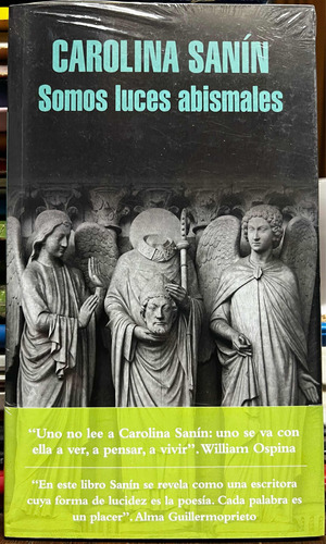 Somos Luces Abismales - Carolina Sanin