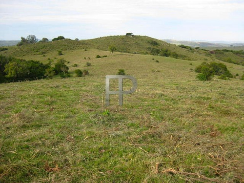 Imagen 2 de 3 de Campo En Venta Pueblo Edén 36 Hectáreas