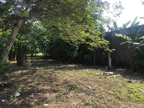 Imagen 1 de 12 de Terreno - El Torito