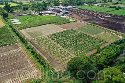 Imagen 3 de 29 de Granja Agrícola Y Porcina Turmero, De 5.7 Hectáreas 04123465023