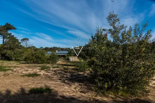Venta Terreno Pinar Del Faro, 1000 Mts (pfg11)
